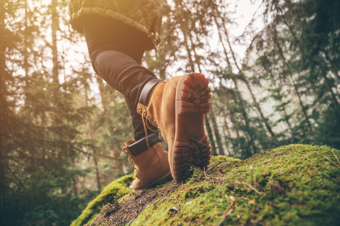 Hiking in a forest.